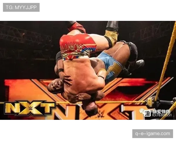 雷恩战术解析 雷恩战术解析